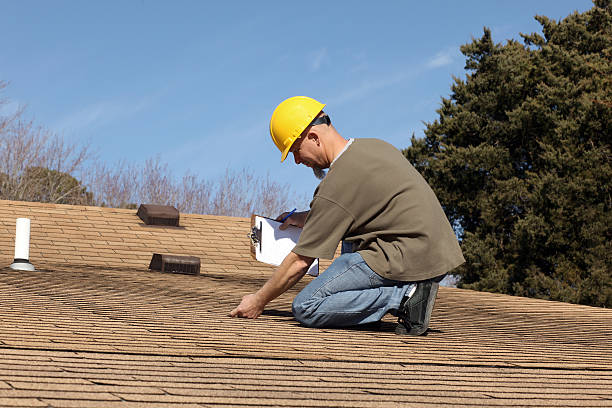 Best Roof Moss and Algae Removal  in Harper Woods, MI